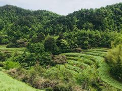 -灵山景区梯田