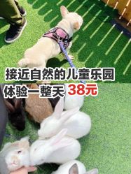 -萌宠亲子动物乐园(槐房万达店)