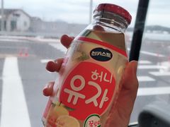 -雪绿茶博物馆
