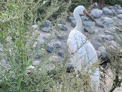 -新疆天山野生动物园