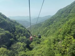 -王顺山国家森林公园