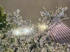 -章太炎故居