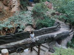 -伏羲山旅游区