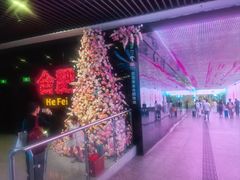 -合肥火车站(地铁站)