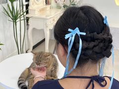 -共舞时光猫咖·狗咖(新街口店)