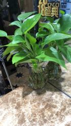 -永琪美容美发全国直营连锁