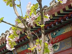 -元大都城垣遗址公园