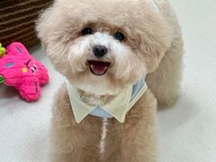 -爱侣宠医·鹦鹉专科·小型哺乳类·异宠专科(灵石路店)