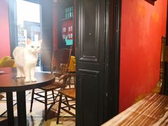 -猫色咖啡·猫咖