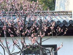 -汇龙潭