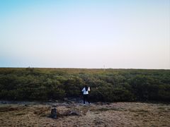 -北海金海湾红树林生态旅游区