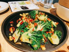 焗锅气奶白菜-小大董·烤鸭(五棵松店)