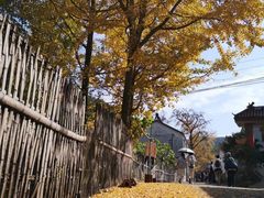 -莫干山风景区