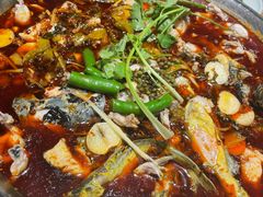 贡椒鱼-小饕荟雅安贡椒鱼鲜馆(广福桥店)