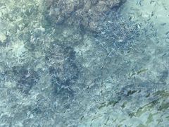 -三亚西岛海洋文化旅游区