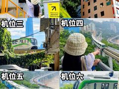 -李子坝梁山鸡(李子坝大鸡哥店)