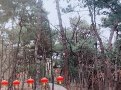 -红螺寺