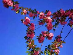 -幕燕滨江·长江观音景区