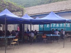 iphone_upload_pic-夏军农家乐