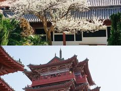 -清明上河园