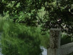 -广西壮族自治区药用植物园