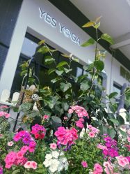 -YesYoga瑜伽普拉提塑形体雕馆