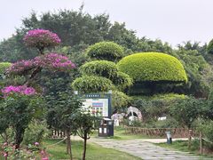 -南宁南湖公园