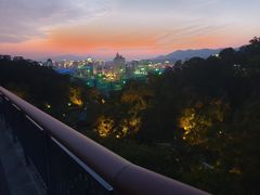 -金鸡山公园
