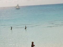 -The Sunny Side Cafe Station 1