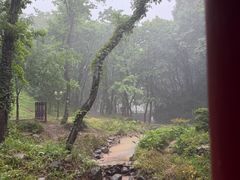 -句容茅山景区