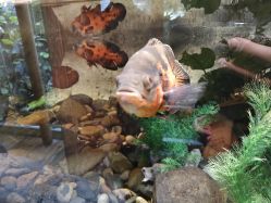 -Zoolung Zoolung动物主题公园(海信广场店)