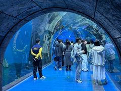 -哈尔滨波塞冬海底世界