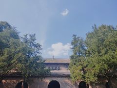 -灵谷景区