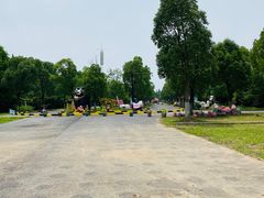 -上海海湾国家森林公园