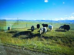 -青海湖国家重点风景名胜区