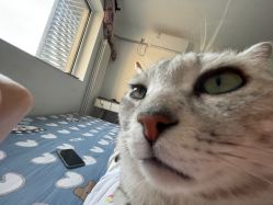 -FineYoga梵音瑜伽·普拉提