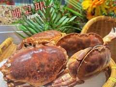 -初色海鲜自助(万丰路店)
