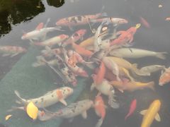 -长阳创谷