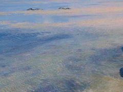 -北海金海湾红树林生态旅游区