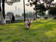 -重庆市江北嘴中央商务区中央公园