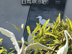 -深圳湾公园(南山区)