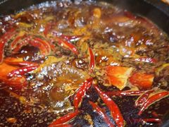 -成渝龙火锅(都江堰店)