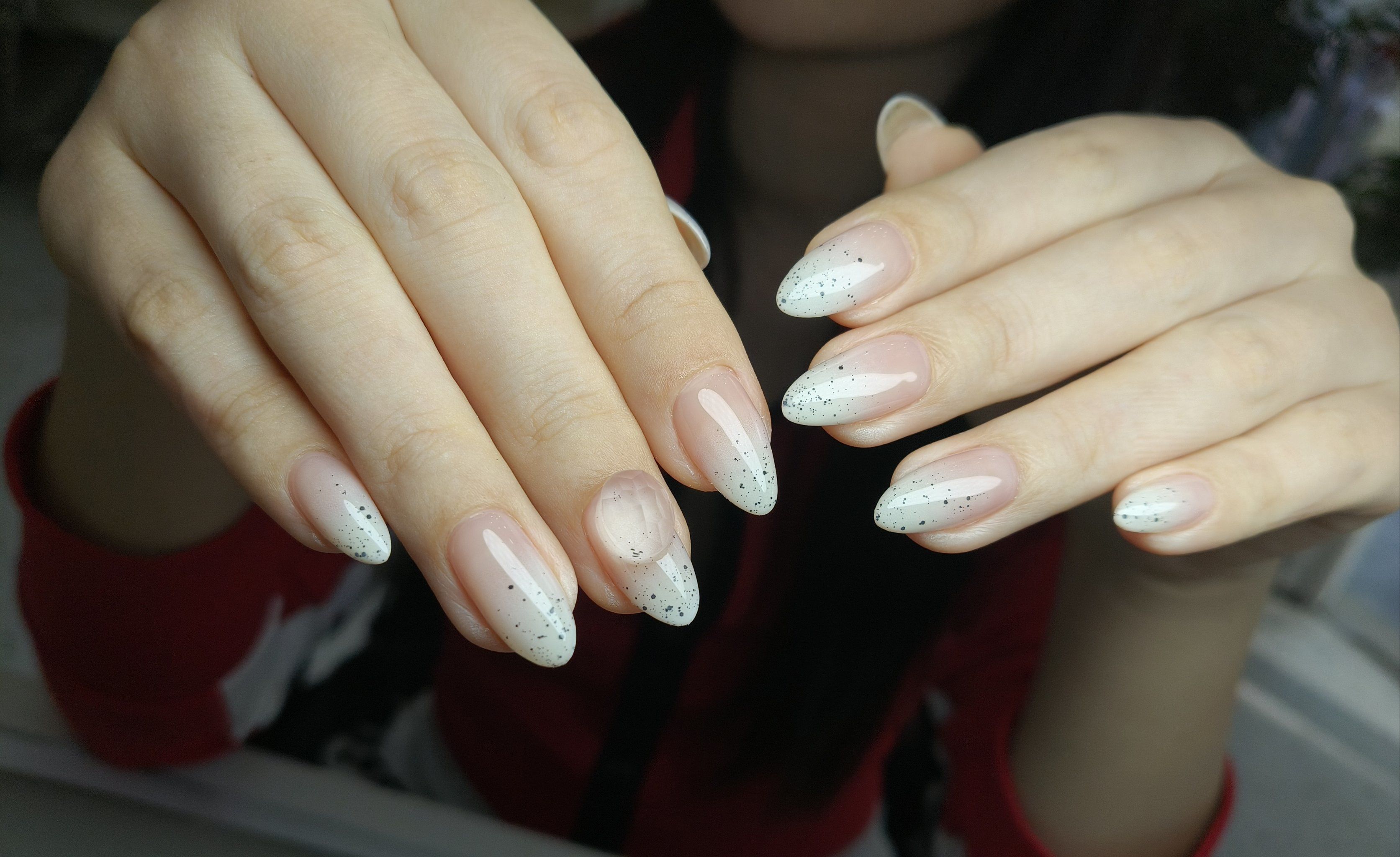 仙女本款蛋壳甲