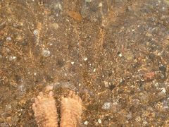 -兴城海滨风景区