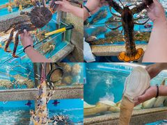 -达叔香味海鲜(海棠68环球美食街店)