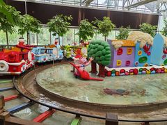 -南宫五洲植物乐园