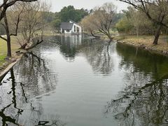 -上海共青森林公园