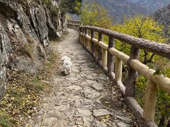 -圣莲山风景区