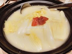 翅汤煲淋津白-陶陶居海鲜酒家(新马路店)