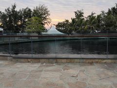 -瑞德姆美人鱼海底演艺主题餐厅(亚龙湾店)